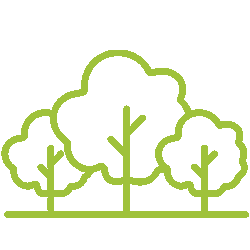 Trees Icon